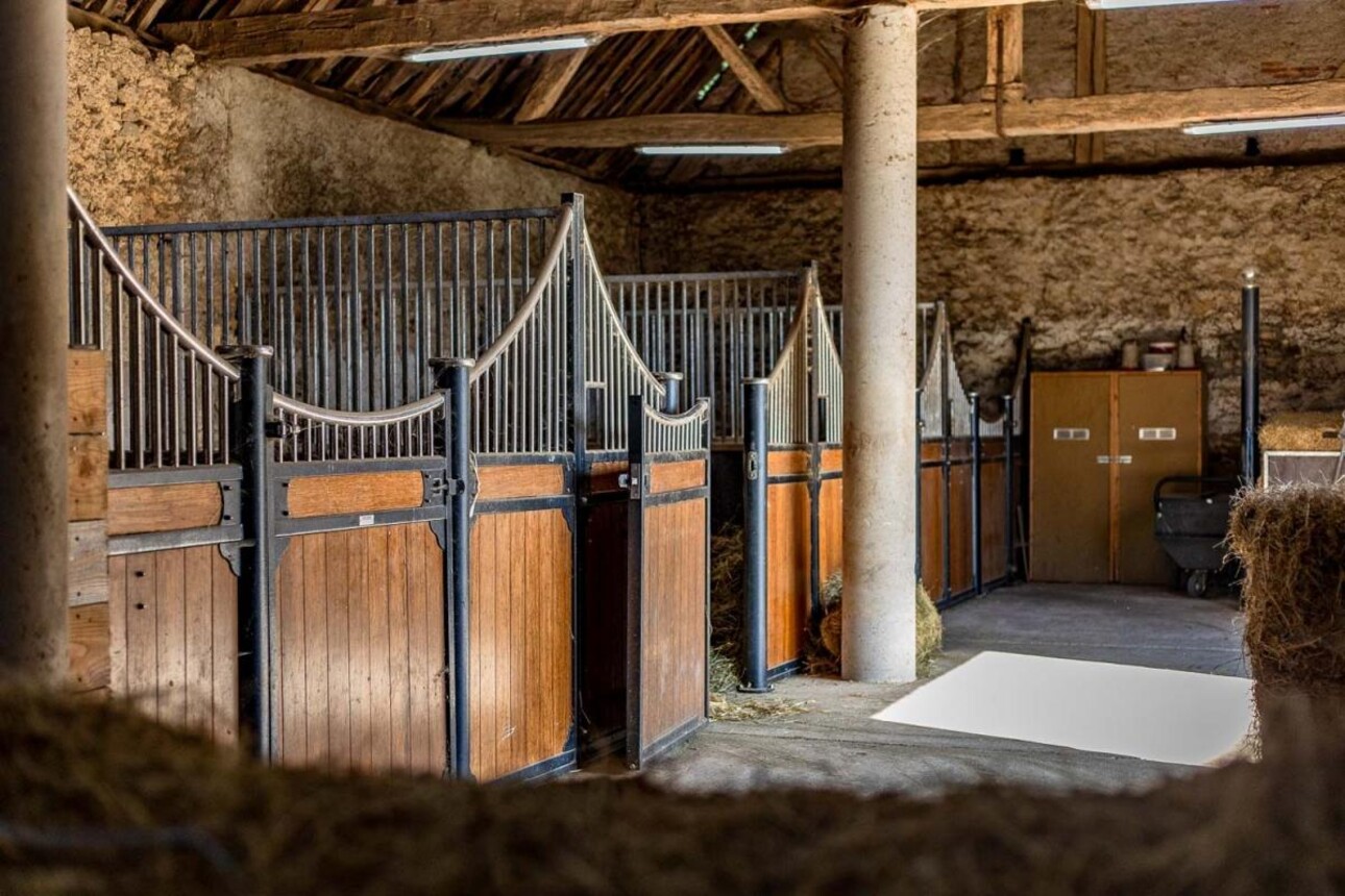 Photos 12 - Équestre - Haras d'élevage sur 17 ha avec habitations