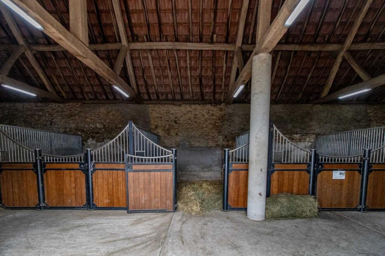 Photos 13 - Équestre - Haras d'élevage sur 17 ha avec habitations