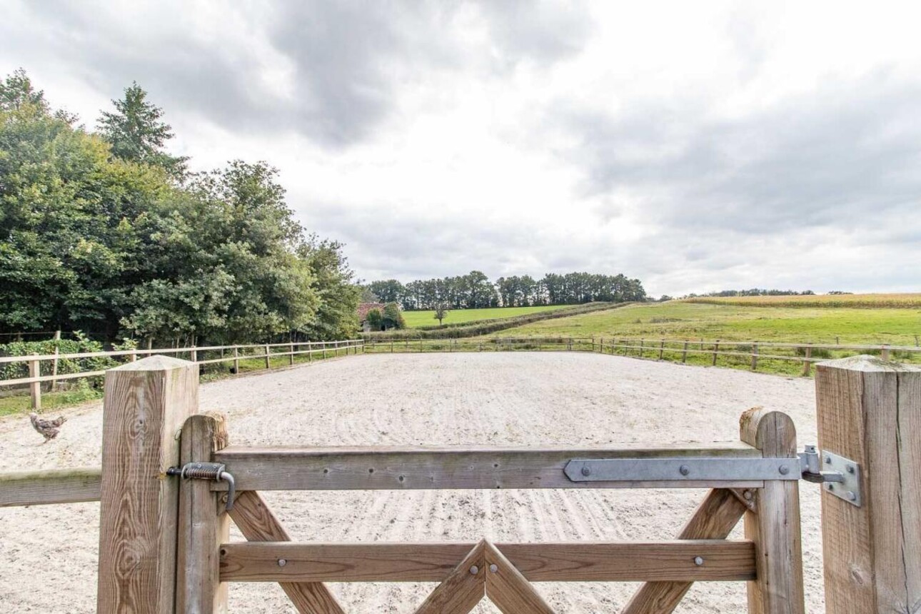 Photos 14 - Equestrian - Haras d'élevage sur 17 ha avec habitations