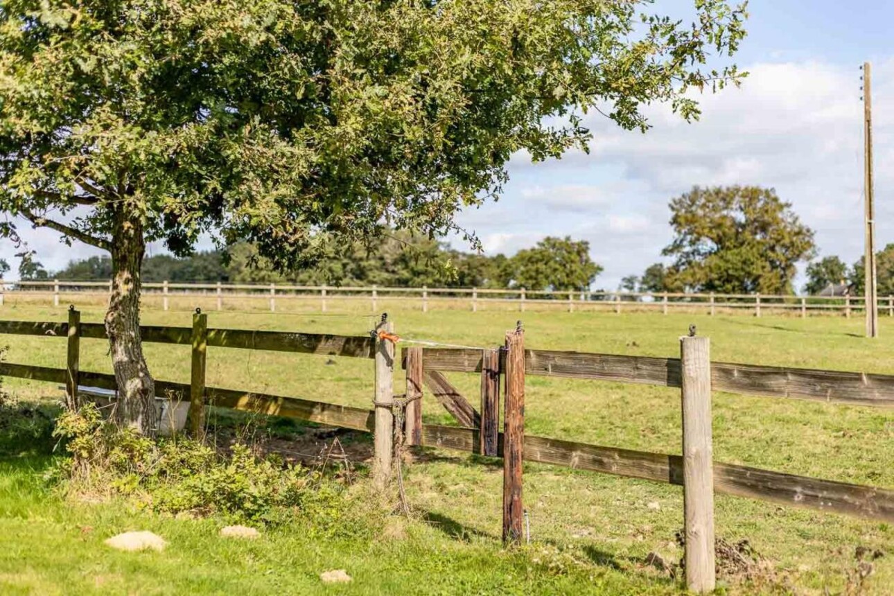 Photos 15 - Equestrian - Haras d'élevage sur 17 ha avec habitations