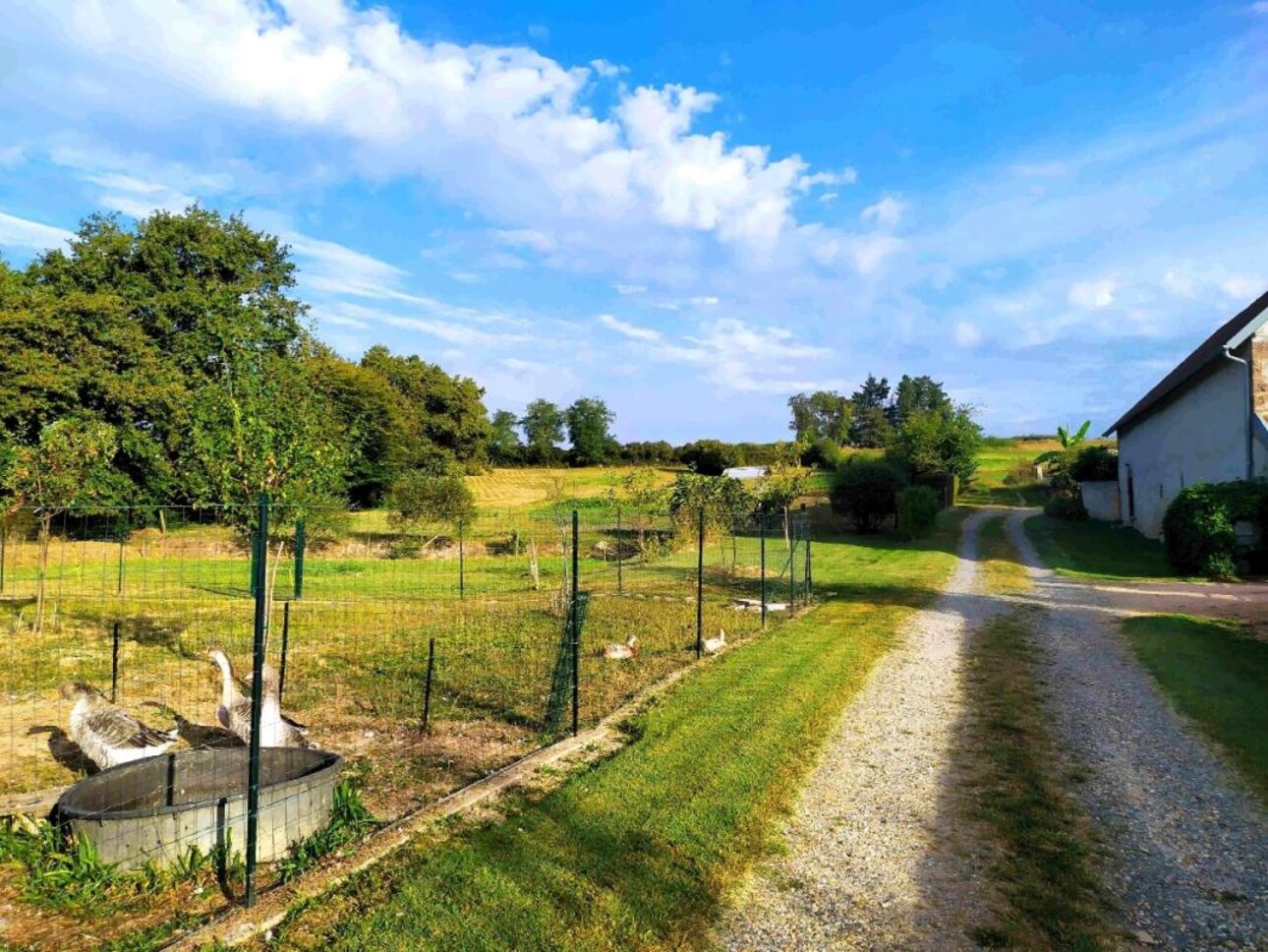 Photos 4 - Equestrian - SAONE ET LOIRE