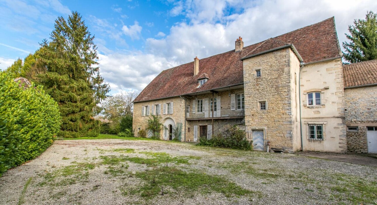 Photos 2 - Prestigious - Demeure de prestige Rochefort Sur Nenon 487 m2