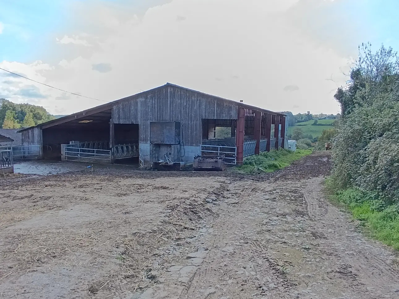 Photos 8 - Agricultural - Working Dairy farm