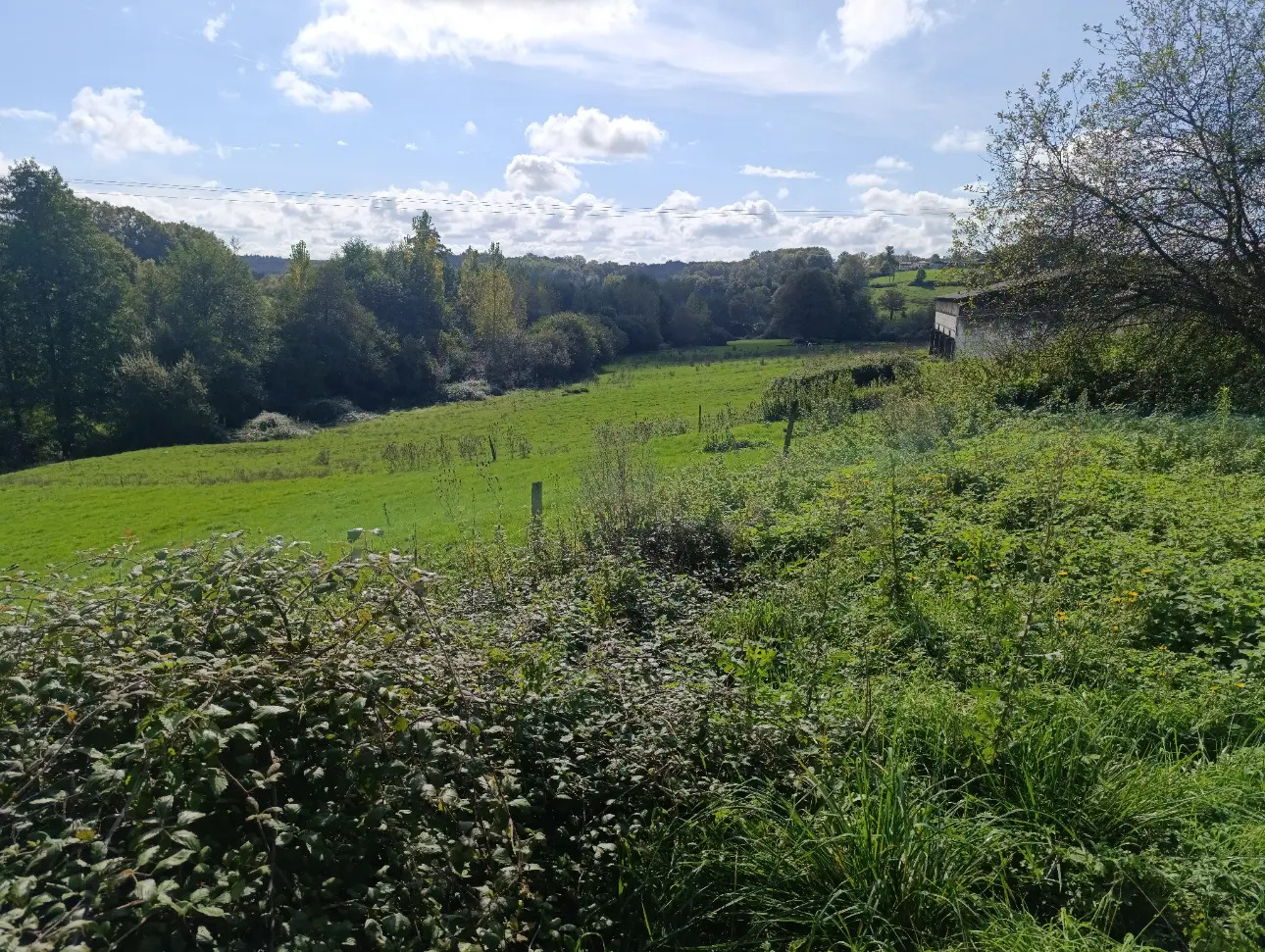 Photos 12 - Agricole - Exploitation Laitiere