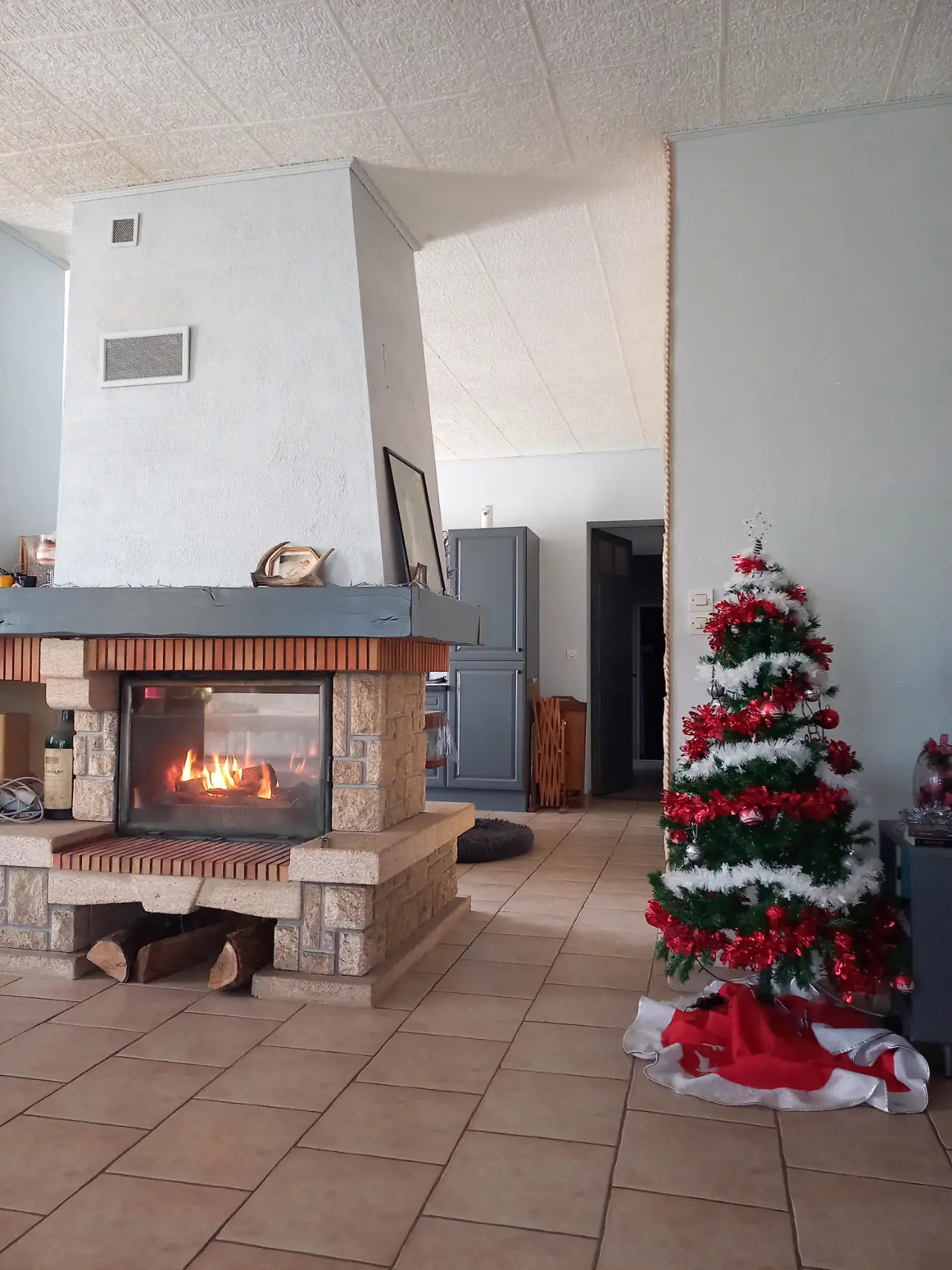 Photos 2 - Agricole - Maison/Propriété avec piscine et 4 ou 11 hectares