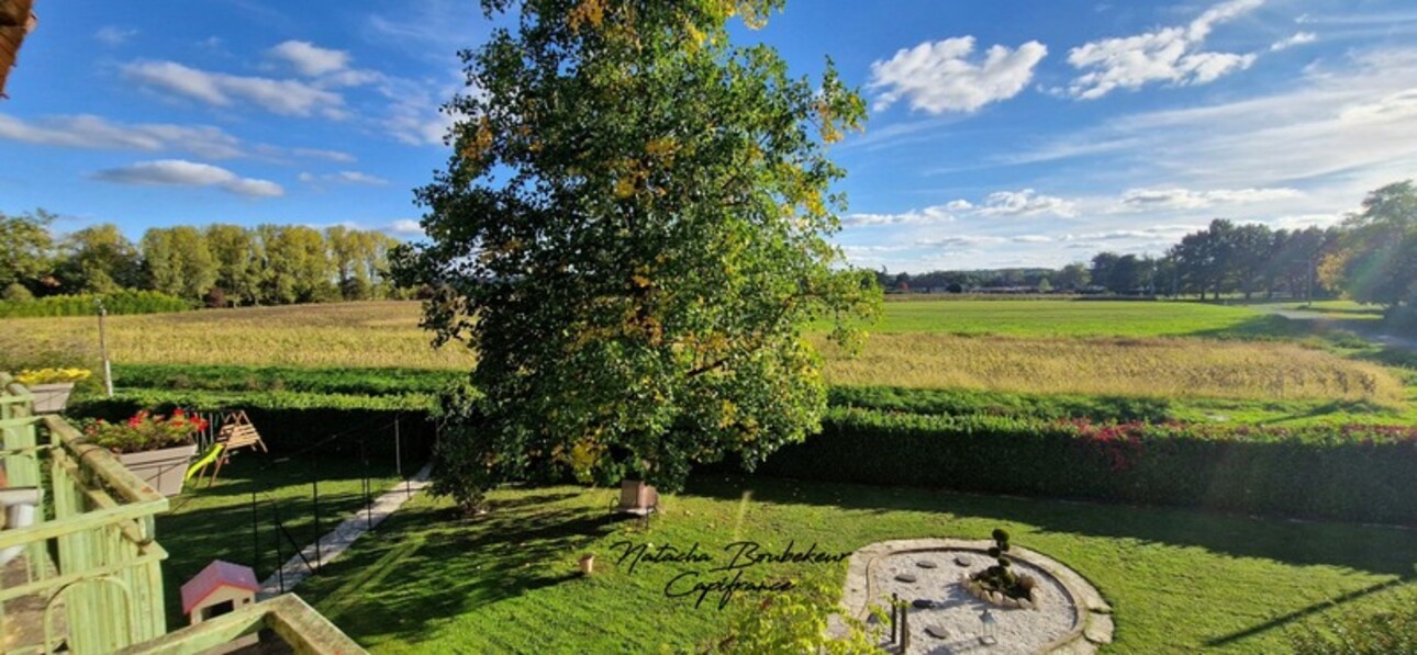 Photos 5 - Prestige - Maison de maître au bord de la Dordogne, 297 m2, 10 p, avec dépendances + piscine