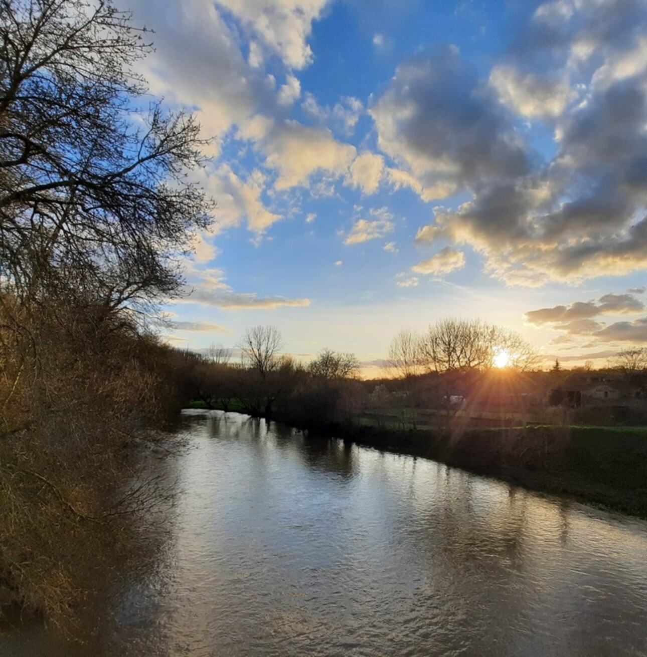 Photos 1 - Land - THOUARS Terrain au bord du Thouet