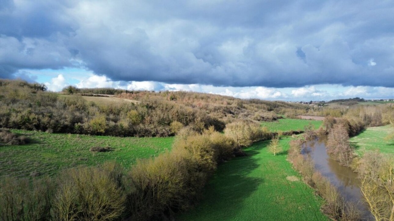 Photos 2 - Land - Dpt Deux Sèvres (79), for sale LOUIN land 5557 m²