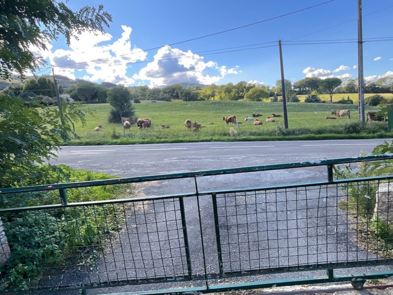 Photos 2 - Tourist - Corp de ferme à vendre 9 pièces AIGUEFONDE (81)