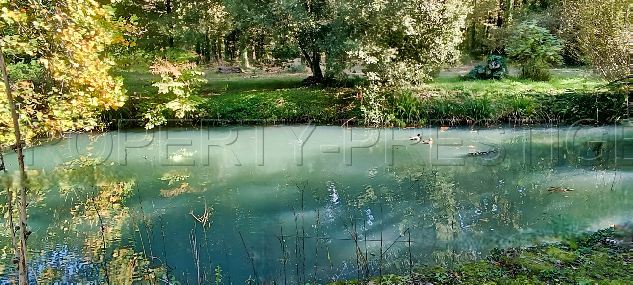 Photos 3 - Prestige - PERIGORD – ANCIEN MOULIN A RENOVER – 5 HA