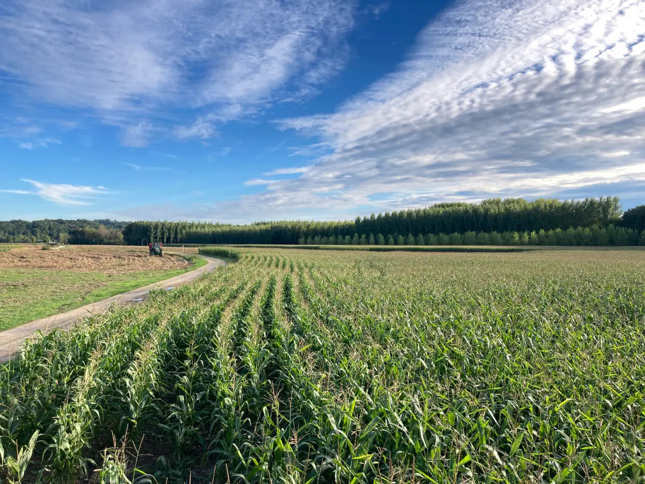 Photos 1 - Agricole - Propriété de 75ha dont 70 de terres de vallées irriguées (Dordogne)