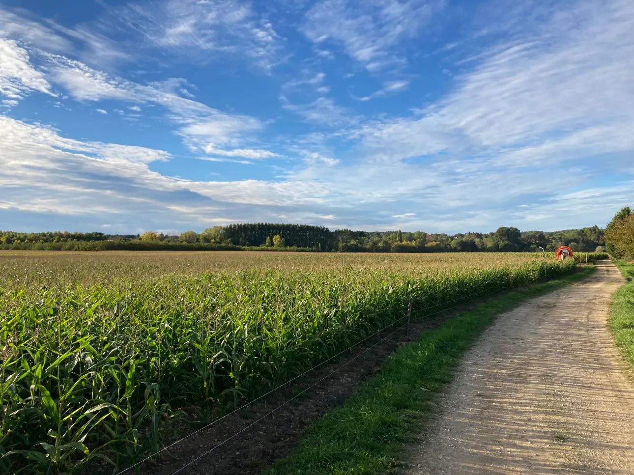 Photos 4 - Agricultural - Property of 75ha including 70 of irrigated valley land (Dordogne)