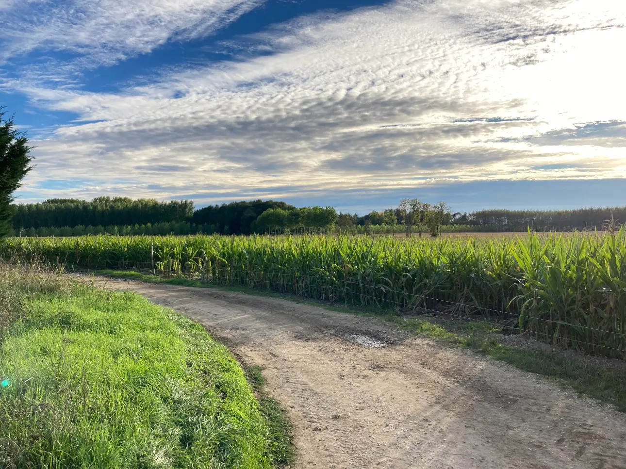 Photos 5 - Agricole - Propriété de 75ha dont 70 de terres de vallées irriguées (Dordogne)