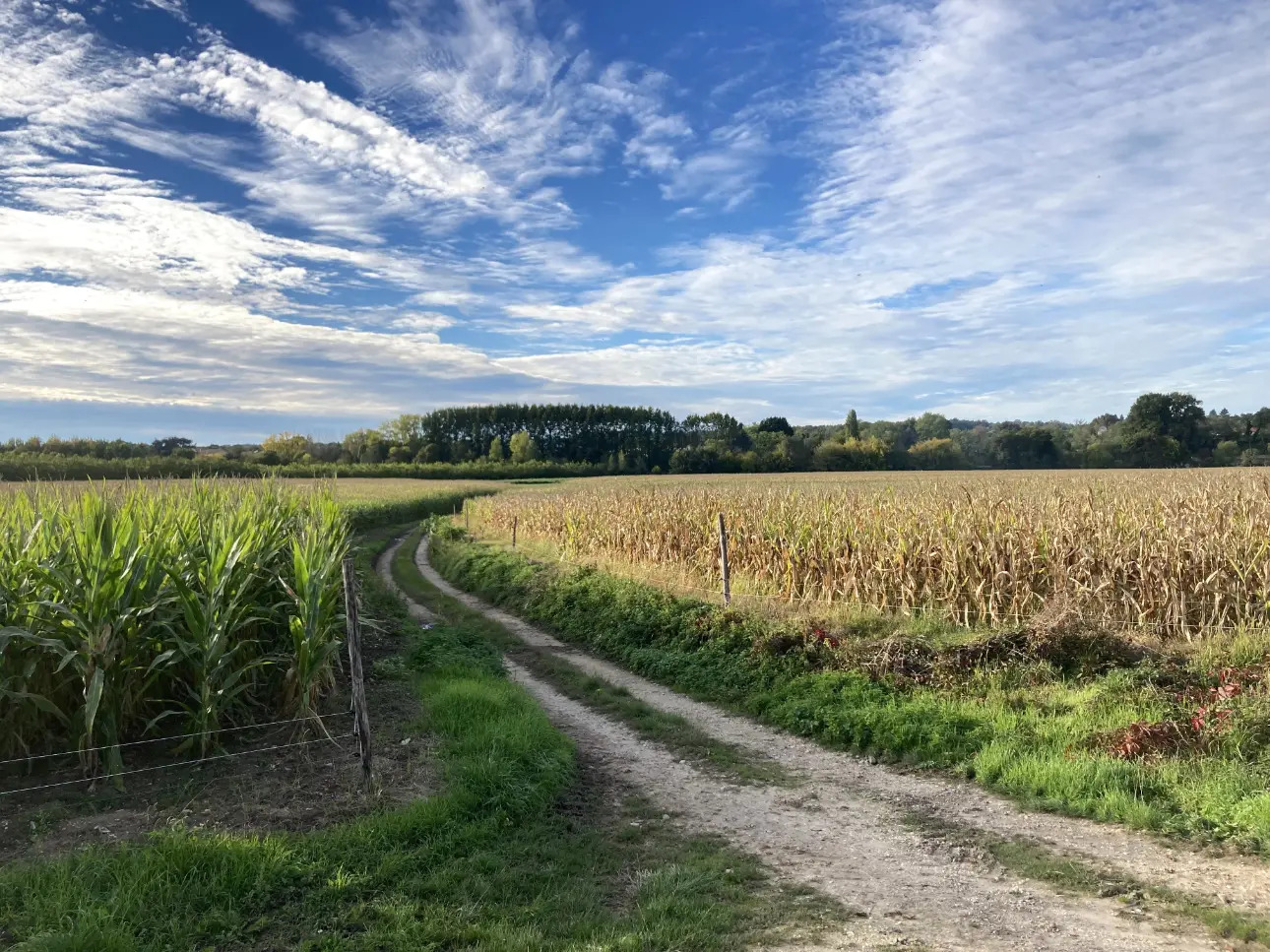 Photos 6 - Agricultural - Property of 75ha including 70 of irrigated valley land (Dordogne)