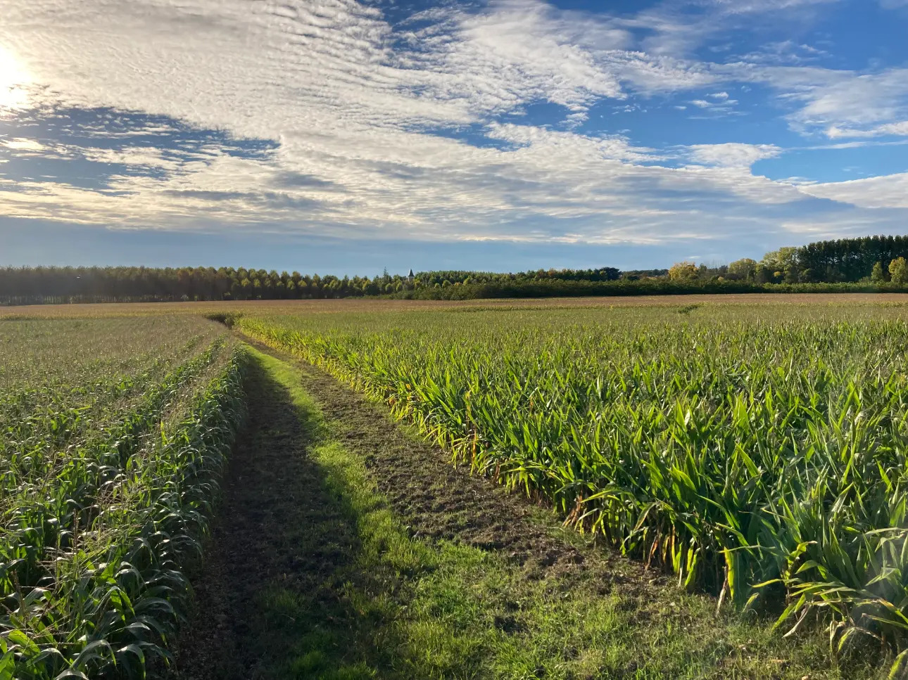 Photos 7 - Agricole - Propriété de 75ha dont 70 de terres de vallées irriguées (Dordogne)