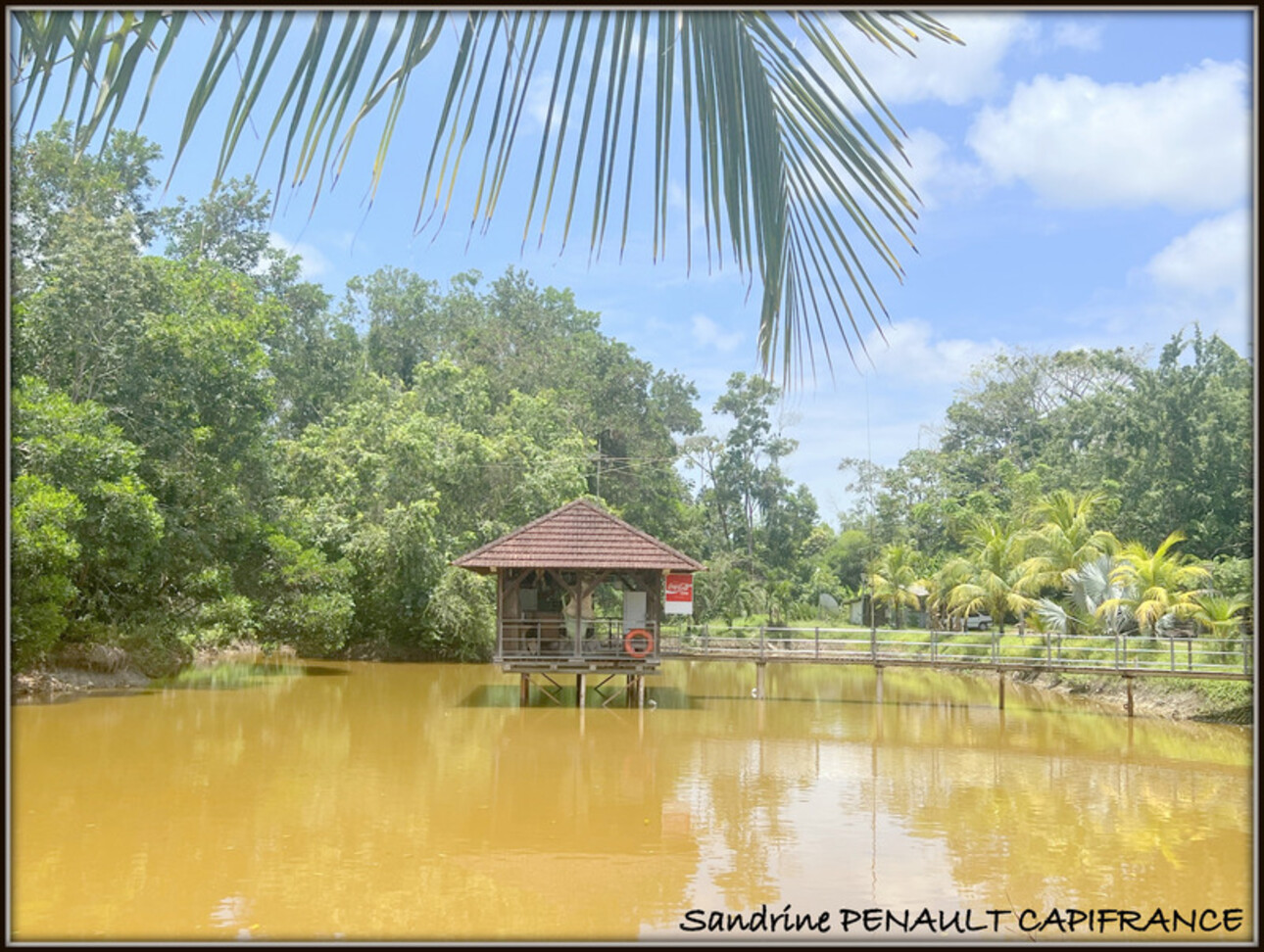 Photos 13 - Prestigious - A VENDRE A KOUROU (GUYANE FRANCAISE) UNE SPLENDIDE PROPRIETE - VILLA T4 DE 120 m² - POOL HOUSE - CARBET SUR PILOTIS - SUPERFICIE TERRAIN 2 HECTARES - AU PRIX DE 678 000 €