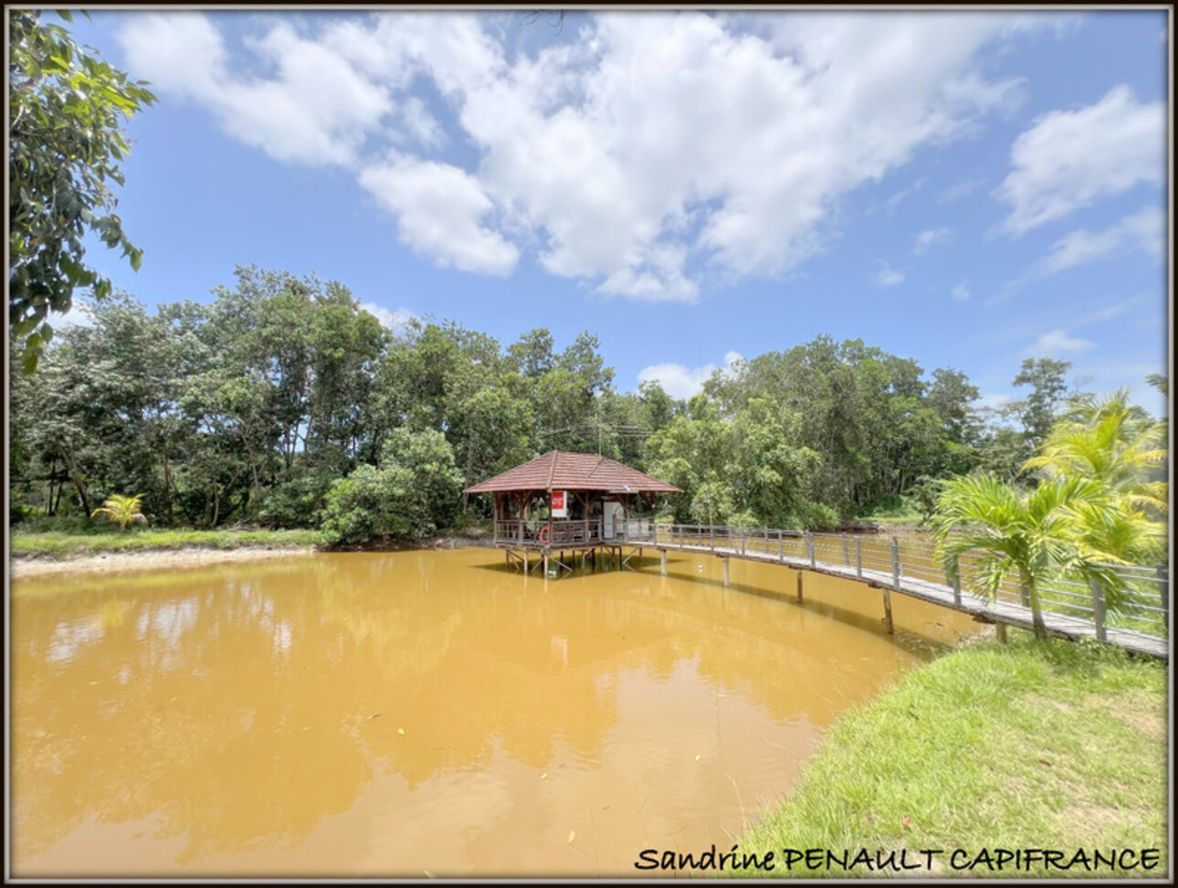 Photos 14 - Prestigious - A VENDRE A KOUROU (GUYANE FRANCAISE) UNE SPLENDIDE PROPRIETE - VILLA T4 DE 120 m² - POOL HOUSE - CARBET SUR PILOTIS - SUPERFICIE TERRAIN 2 HECTARES - AU PRIX DE 678 000 €