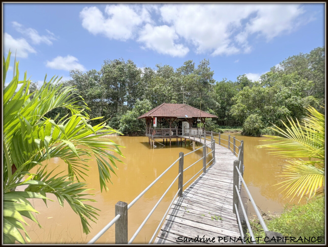 Photos 15 - Prestigious - A VENDRE A KOUROU (GUYANE FRANCAISE) UNE SPLENDIDE PROPRIETE - VILLA T4 DE 120 m² - POOL HOUSE - CARBET SUR PILOTIS - SUPERFICIE TERRAIN 2 HECTARES - AU PRIX DE 678 000 €