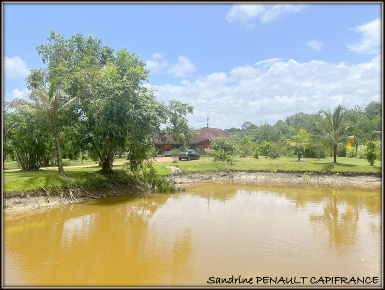 Photos 16 - Prestigious - A VENDRE A KOUROU (GUYANE FRANCAISE) UNE SPLENDIDE PROPRIETE - VILLA T4 DE 120 m² - POOL HOUSE - CARBET SUR PILOTIS - SUPERFICIE TERRAIN 2 HECTARES - AU PRIX DE 678 000 €