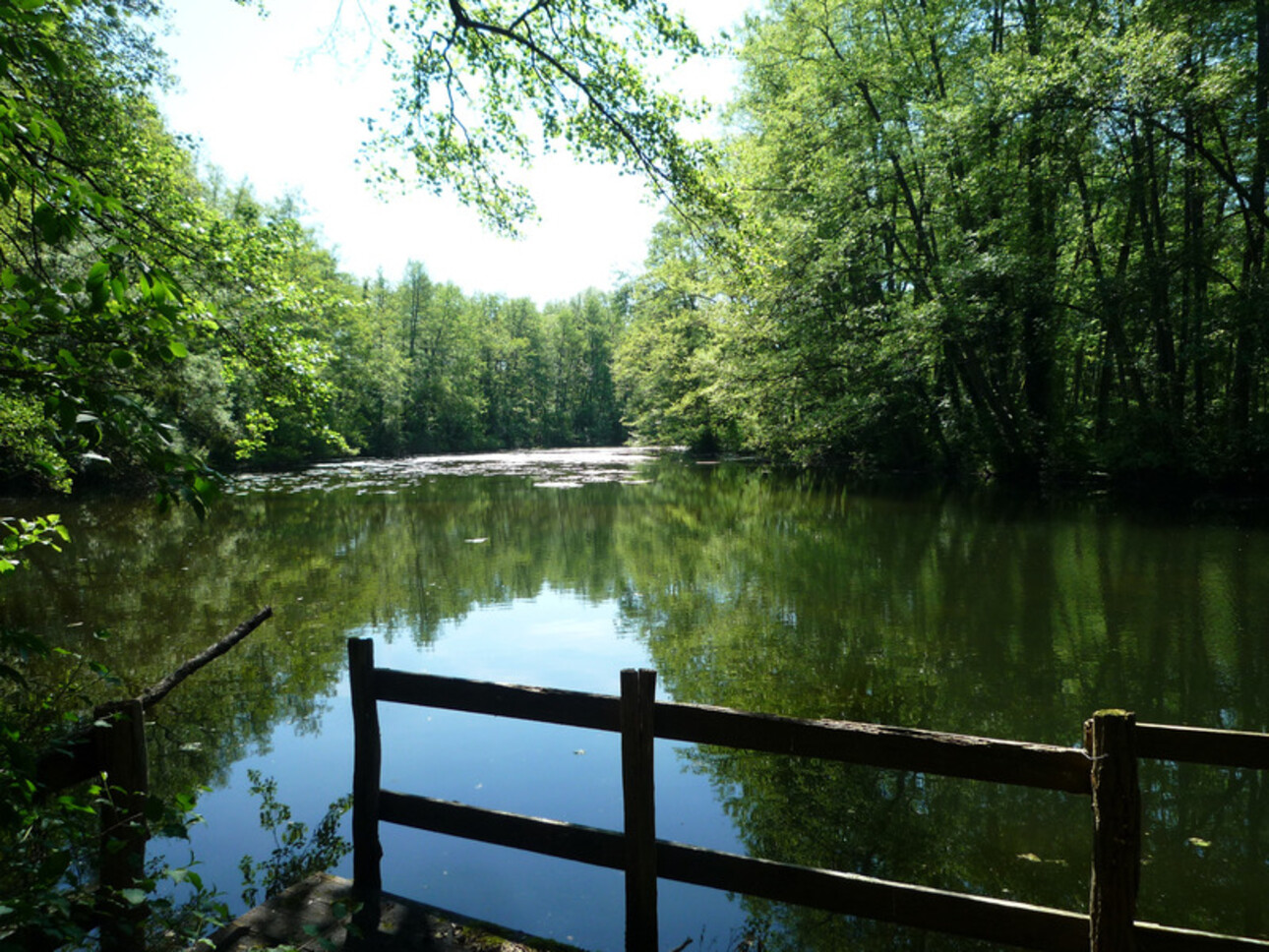 Photos 12 - Équestre - Dpt Aisne (02),  BAULNE EN BRIE à vendre superbe propriété de 380 m2 habitables sur un terrain de 15 ha avec étang de 3 ha