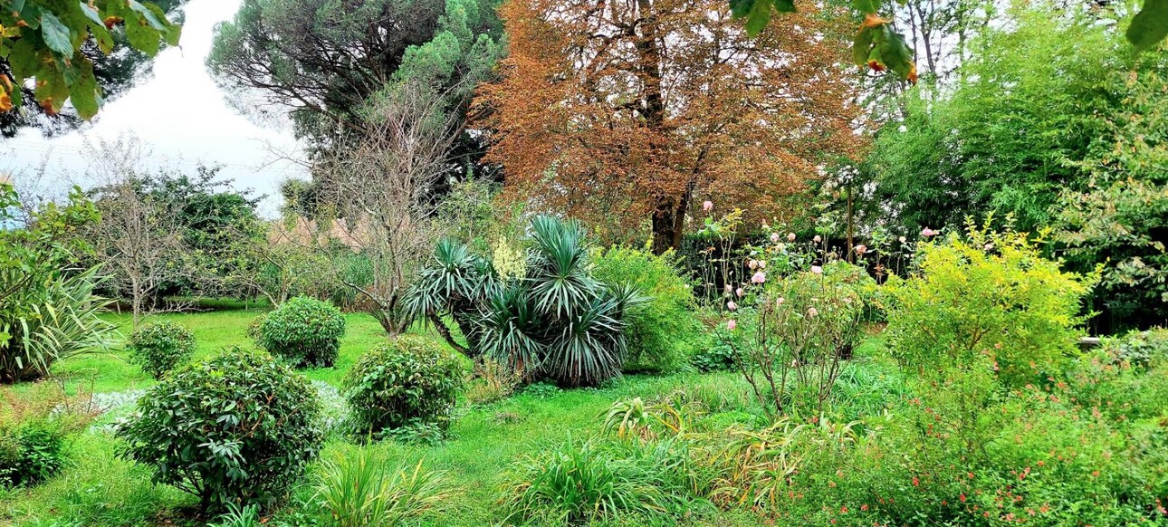 Photos 2 - Touristique - Maison de caractère