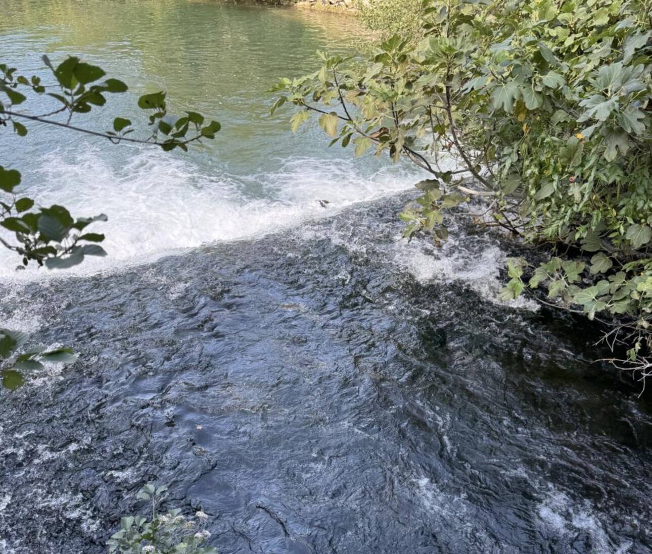 Photos 1 - Prestigious - PROCHE DE L'ISLE SUR LA SORGUE, UNE PROPRIÉTÉ CONFIDENTIELLE