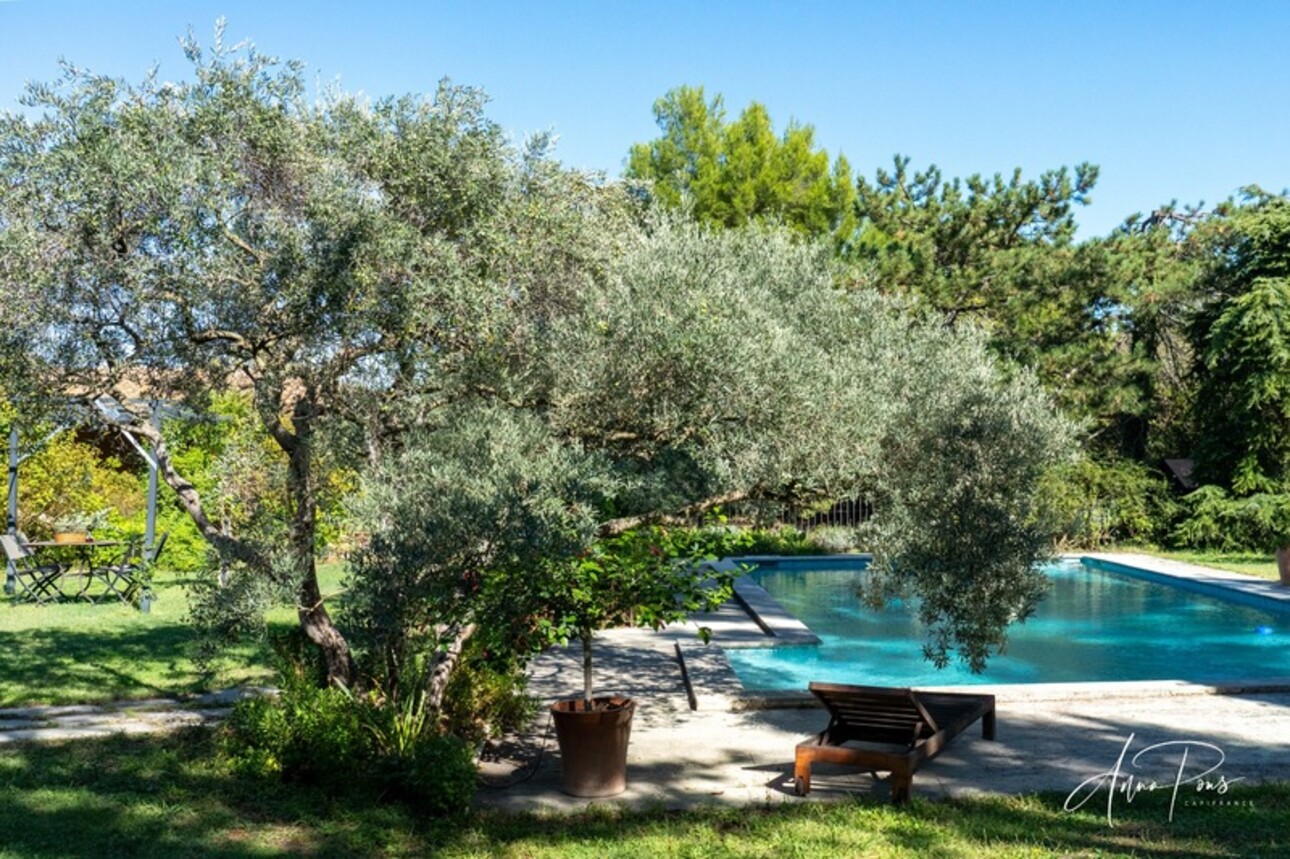 Photos 2 - Prestigious - Dpt Vaucluse (84), for sale JONQUERETTES property 540m². Garden & Olive grove. Building land 8000m².