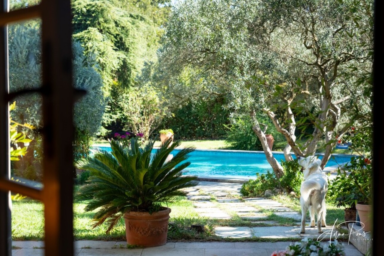 Photos 4 - Prestigious - Dpt Vaucluse (84), for sale JONQUERETTES property 540m². Garden & Olive grove. Building land 8000m².