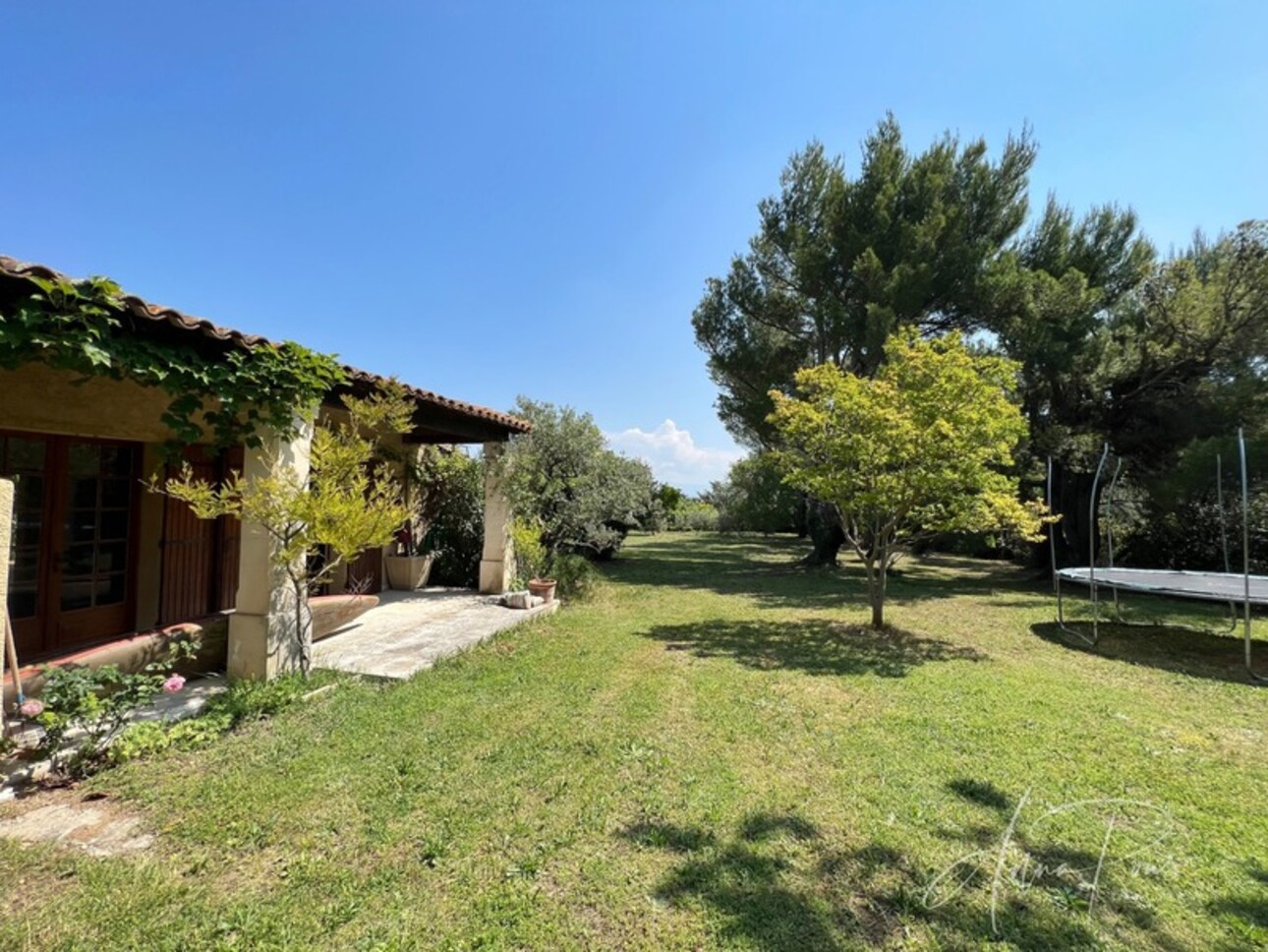 Photos 35 - Prestigious - Dpt Vaucluse (84), for sale JONQUERETTES property 540m². Garden & Olive grove. Building land 8000m².