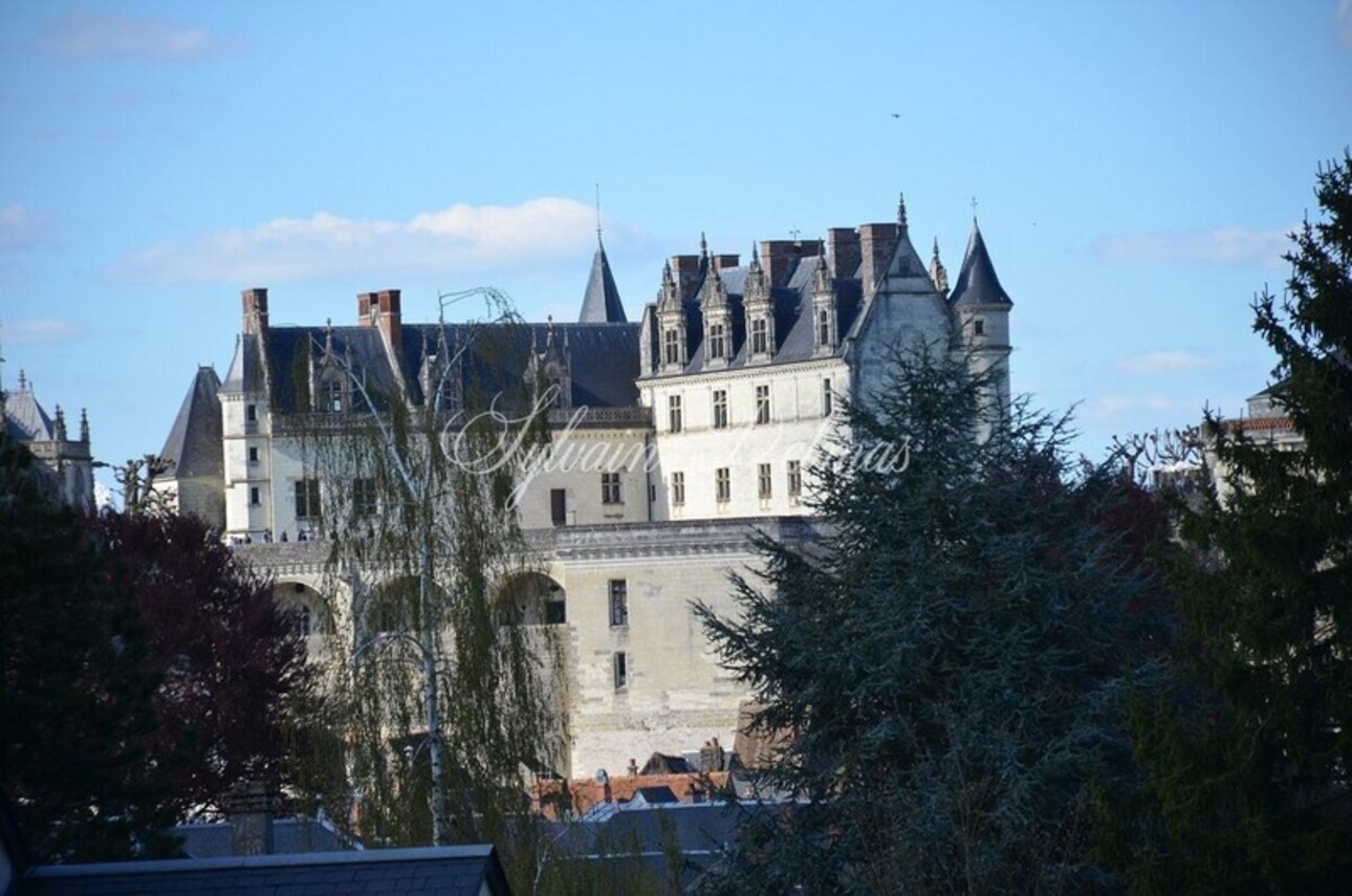 Photos 30 - Touristique - Propriete à vendre 32 pièces AMBOISE (37)