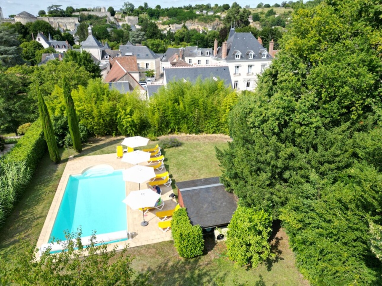 Photos 6 - Touristique - Propriete à vendre 32 pièces AMBOISE (37)