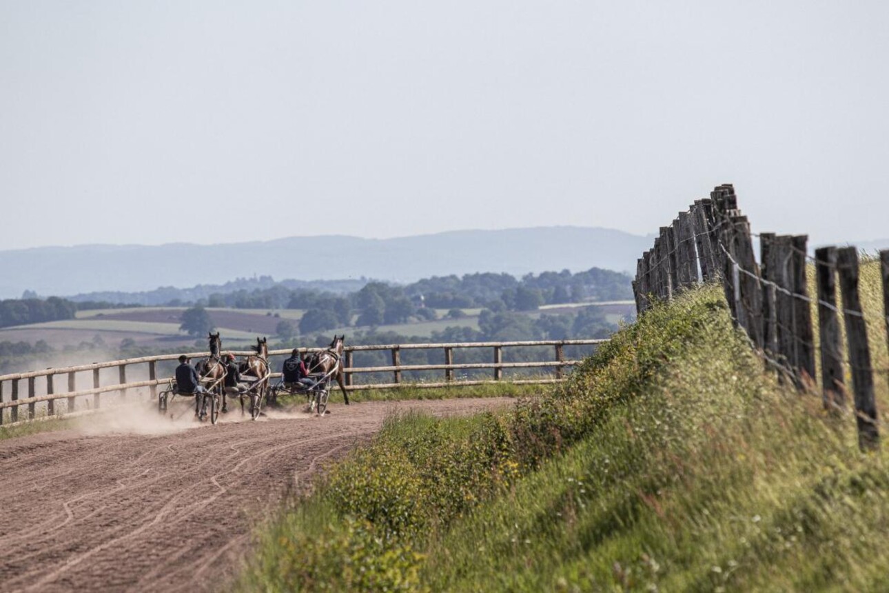 Photos 1 - Equestrian - Stud farm / Equestrian centre