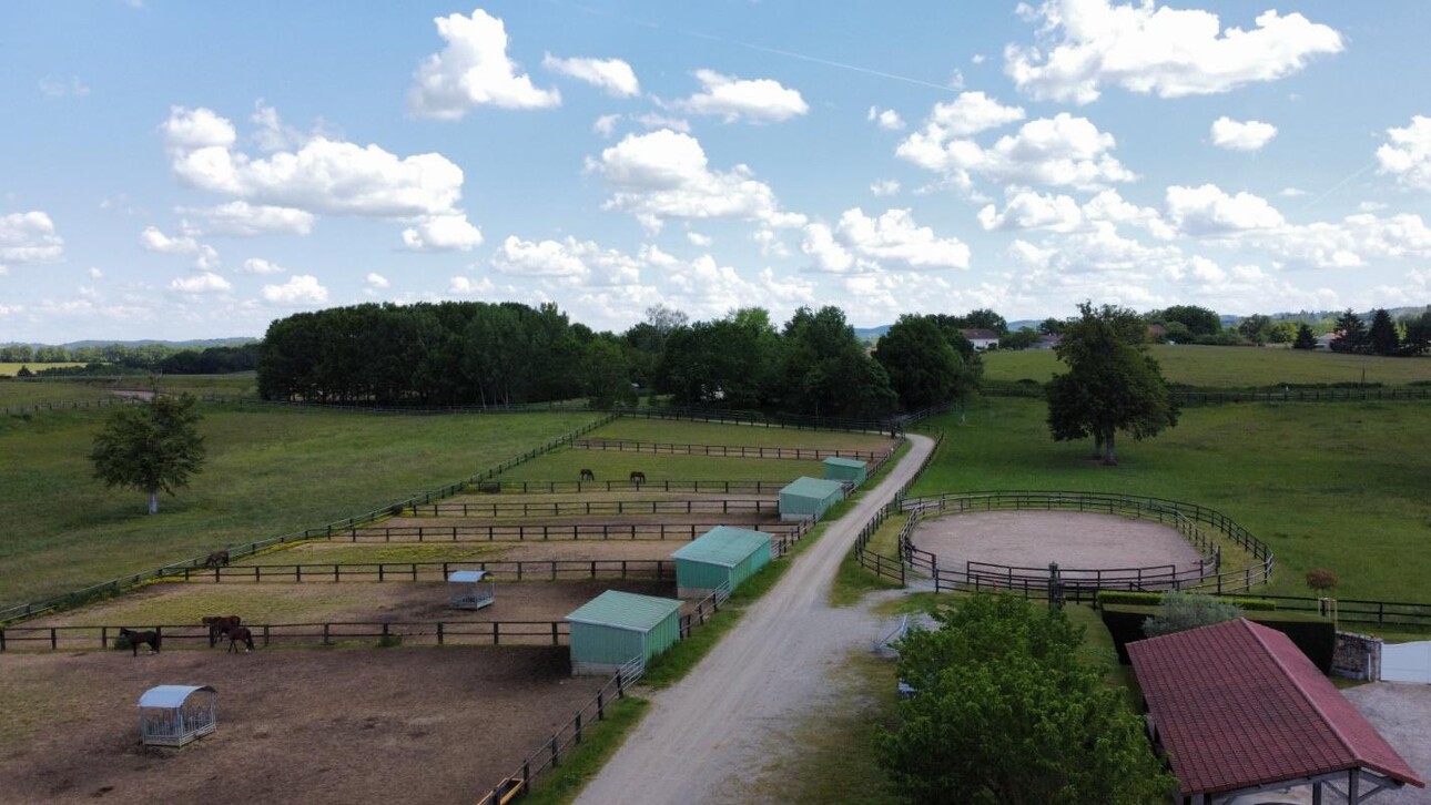 Photos 2 - Equestrian - Stud farm / Equestrian centre