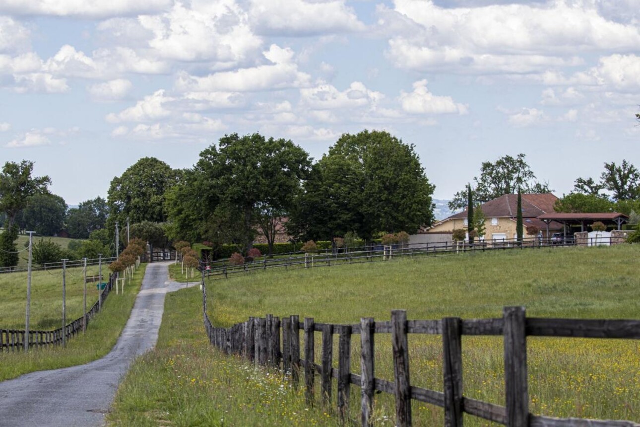 Photos 11 - Equestrian - Stud farm / Equestrian centre