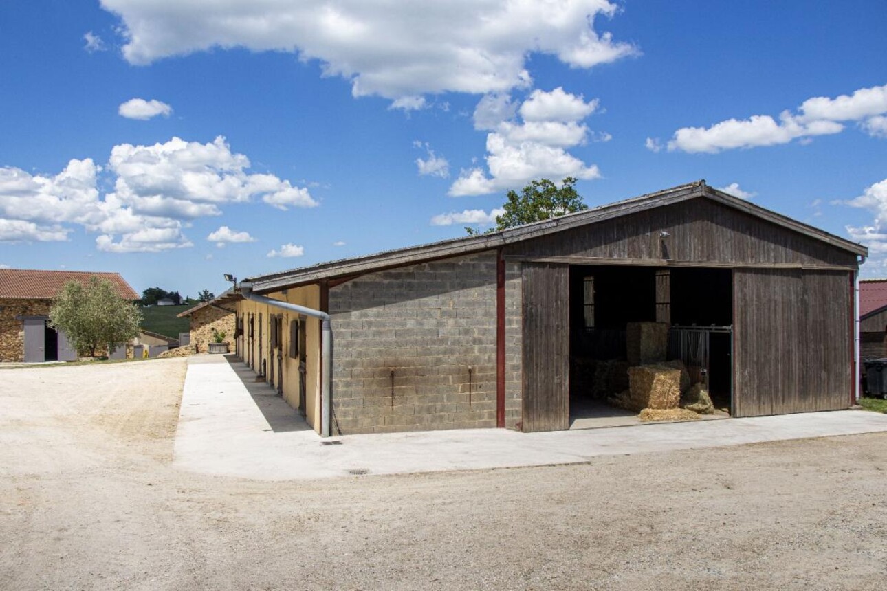 Photos 15 - Equestrian - Stud farm / Equestrian centre