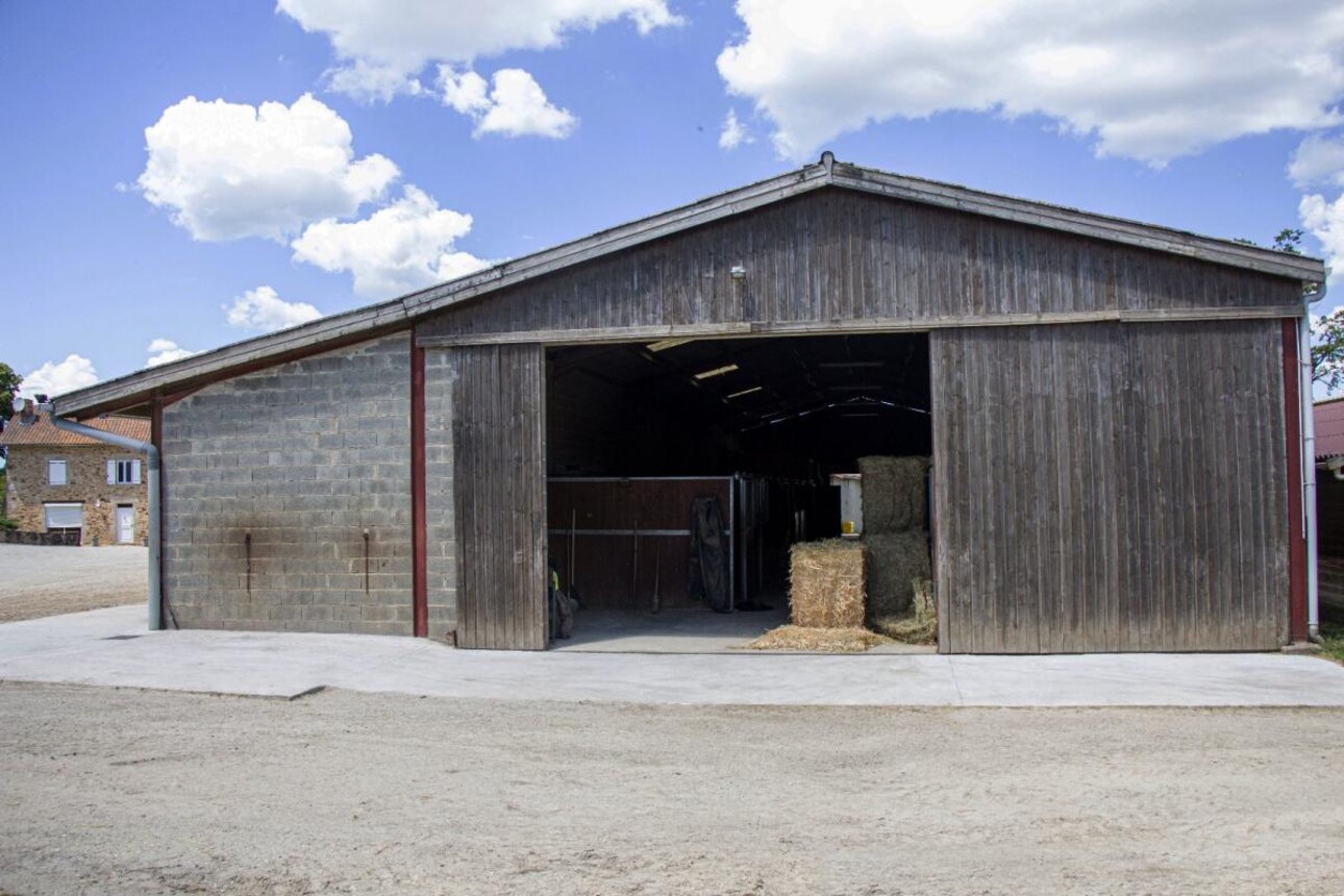 Photos 17 - Equestrian - Stud farm / Equestrian centre