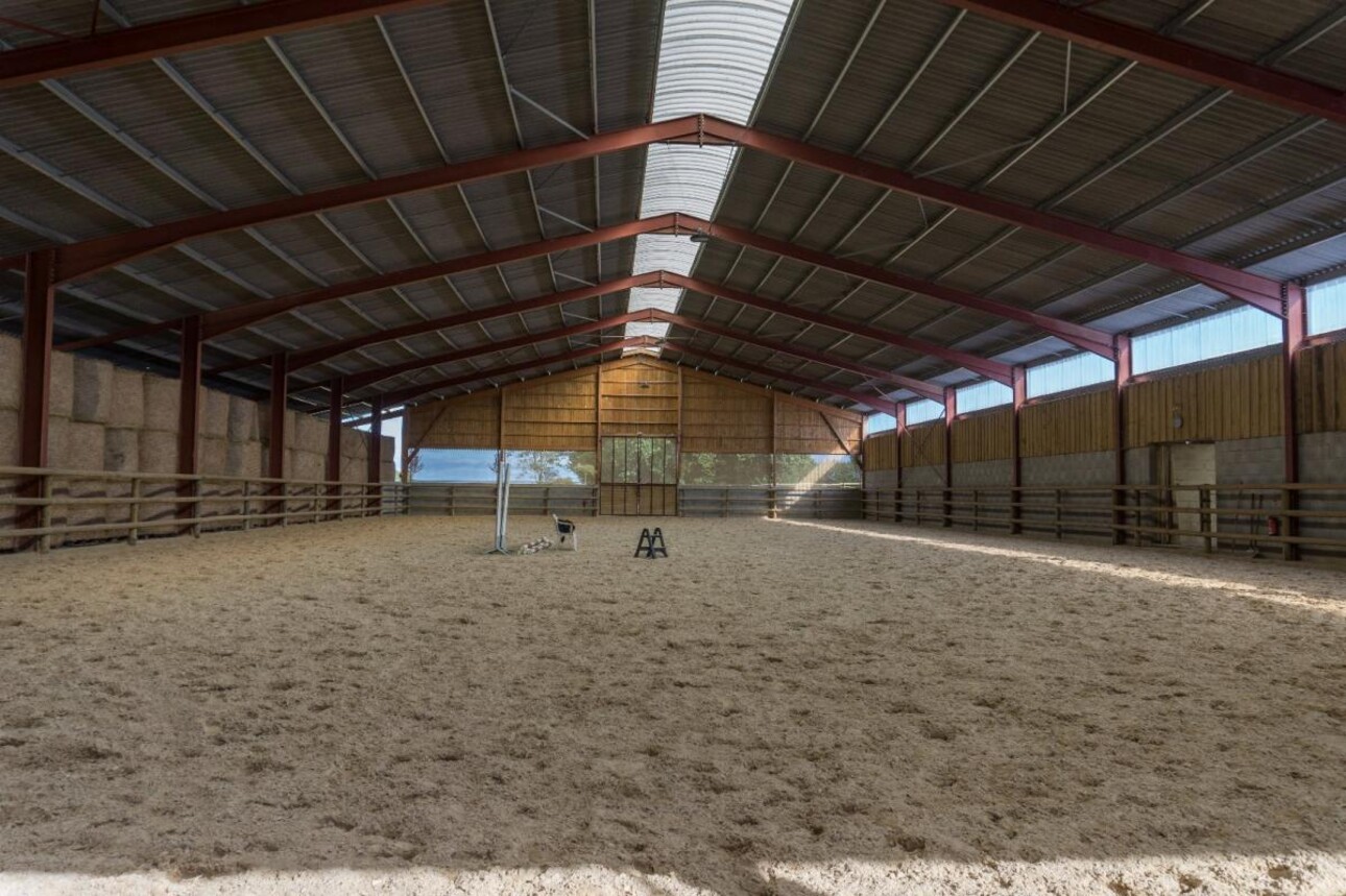 Photos 1 - Equestrian - Stud farm / Equestrian centre