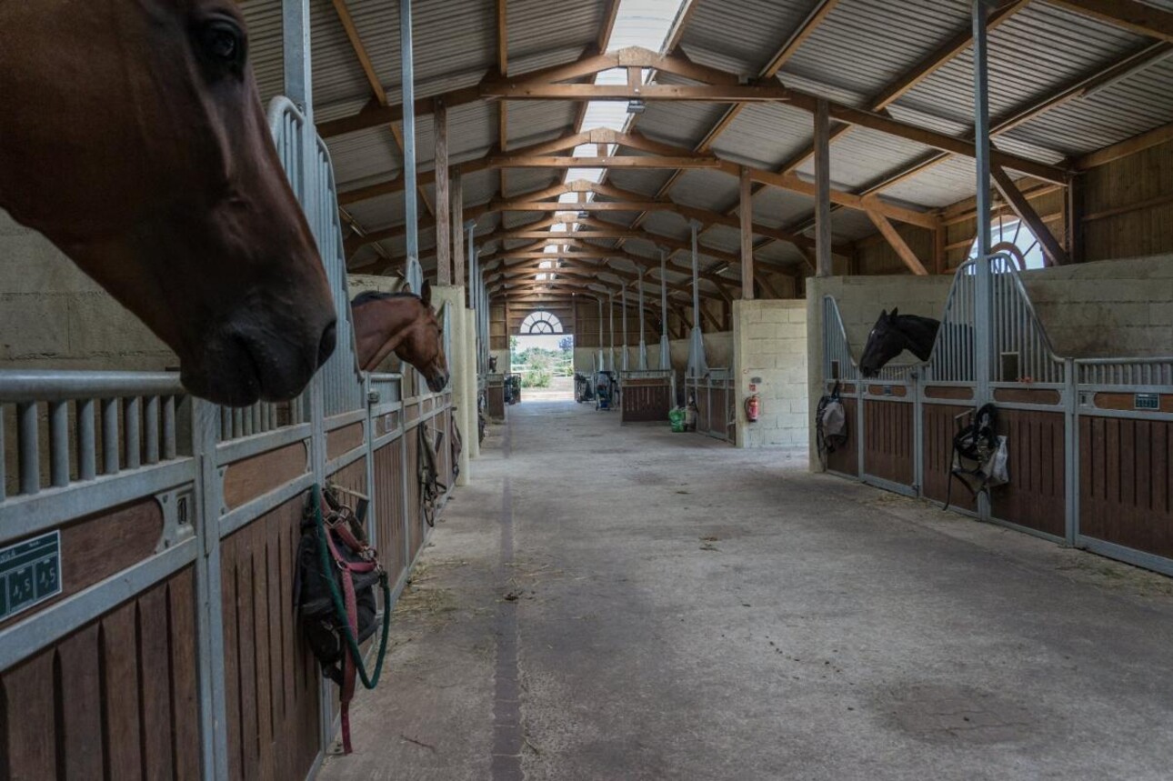 Photos 3 - Equestrian - Stud farm / Equestrian centre