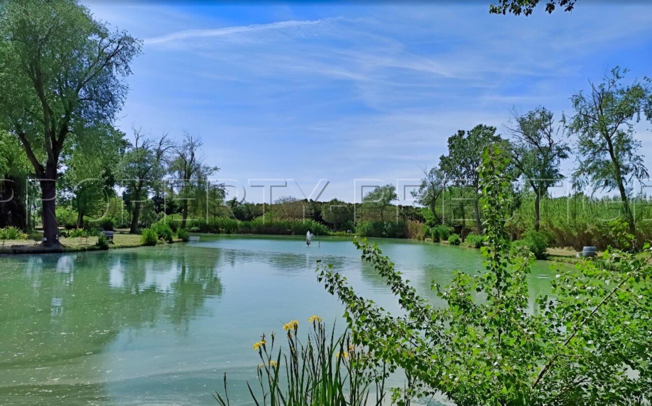 Photos 1 - Land - CAMARGUE ETANG DE PECHE 3,4 HA