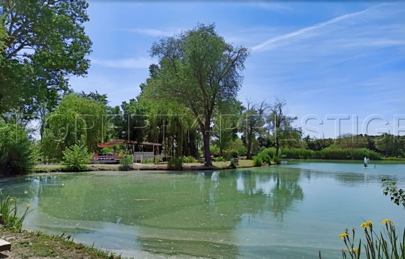 Photos 4 - Foncière - CAMARGUE ETANG DE PECHE 3,4 HA