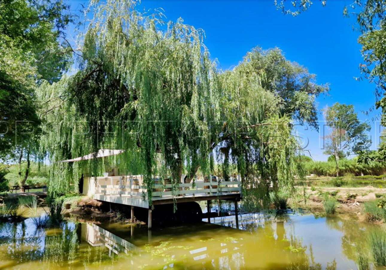 Photos 6 - Land - CAMARGUE ETANG DE PECHE 3,4 HA