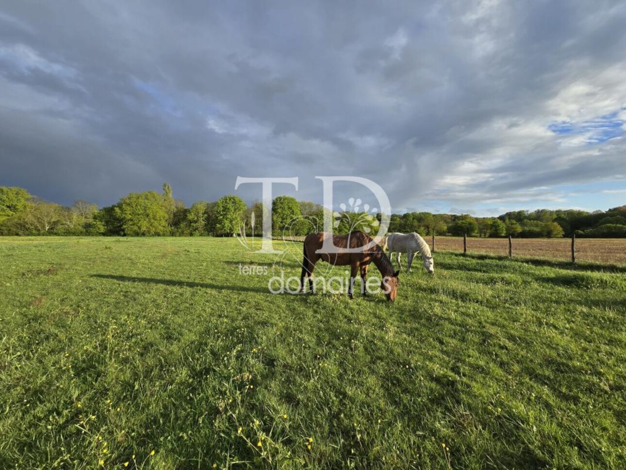 Photos 9 - Tourist - Propriété rurale d'agrément de 6 ha avec étang