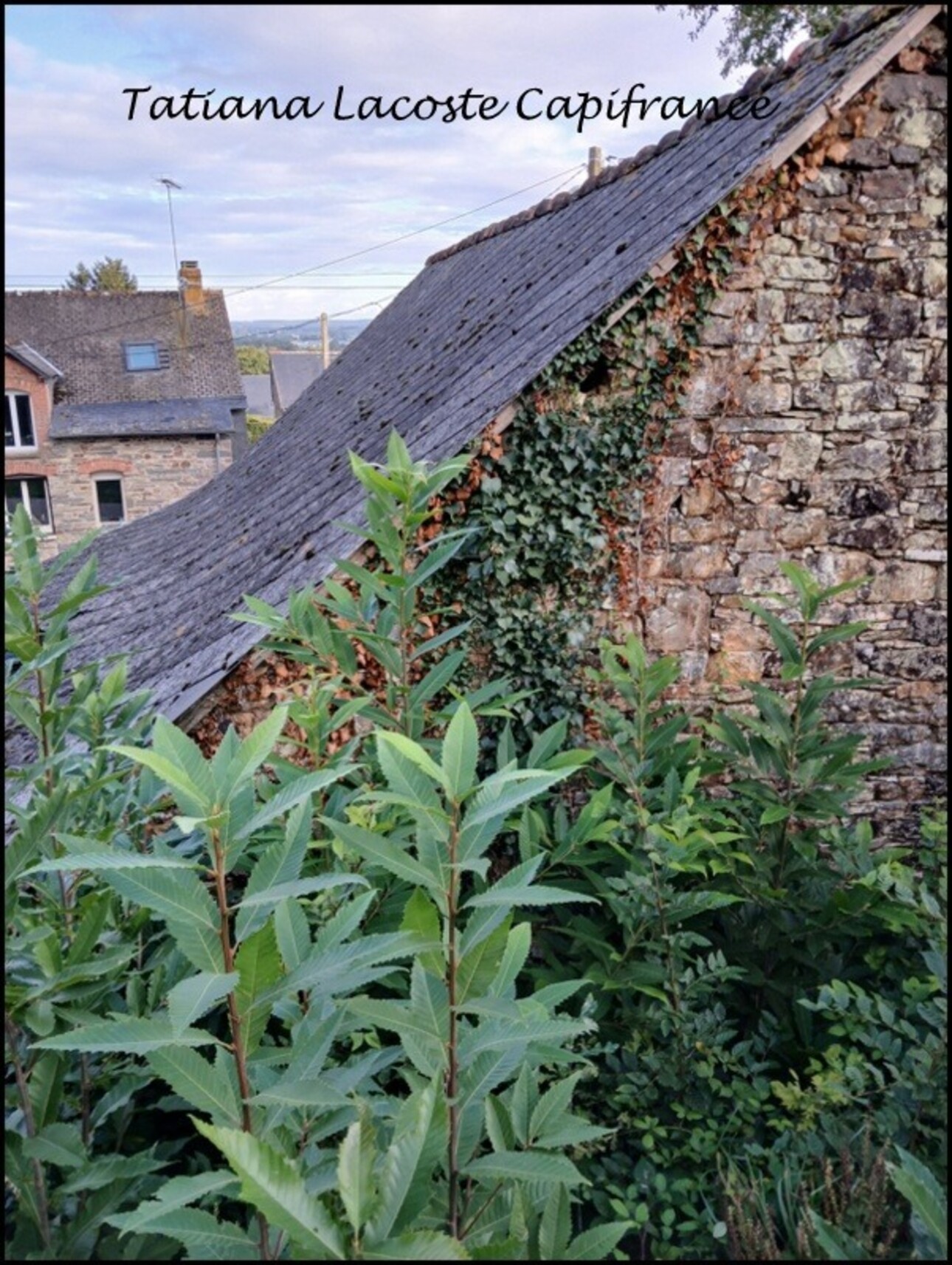 Photos 6 - Touristique - Grange à rénover