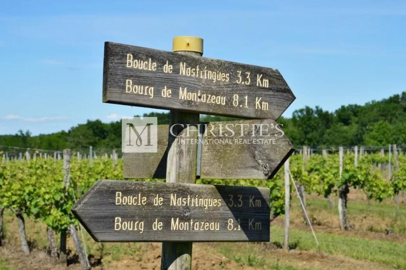 Photos 11 - Vineyard - Sumptuous Chartreuse estate with vineyard near Saint-Emilion