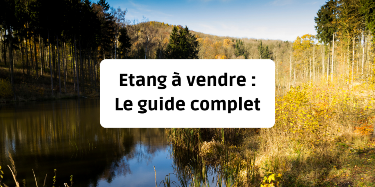 Etang à vendre : Le guide d’achat complet