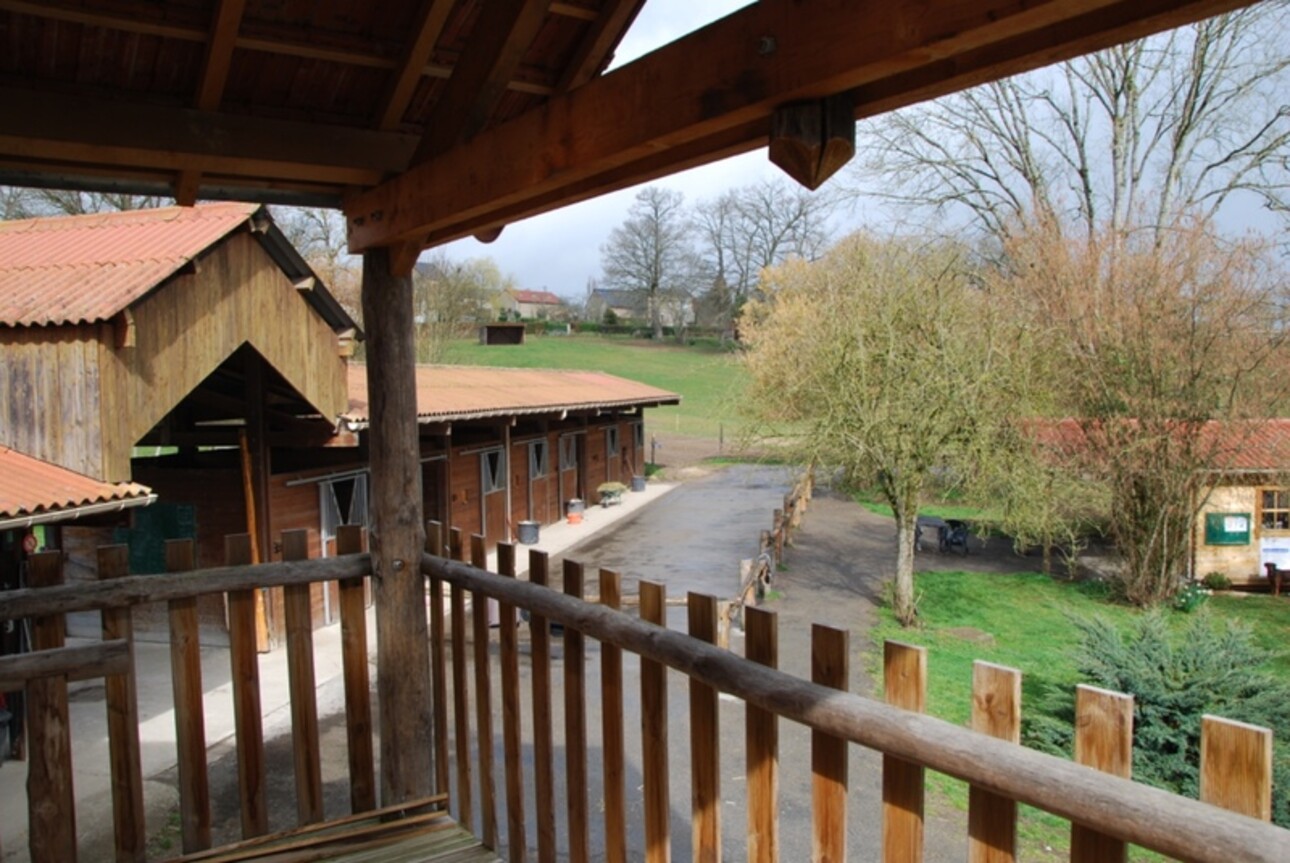 Photos 1 - Equestrian - Dpt Creuse for sale equestrian estate in Bussière Dunoise comprising a house, a gîte, an apartment,