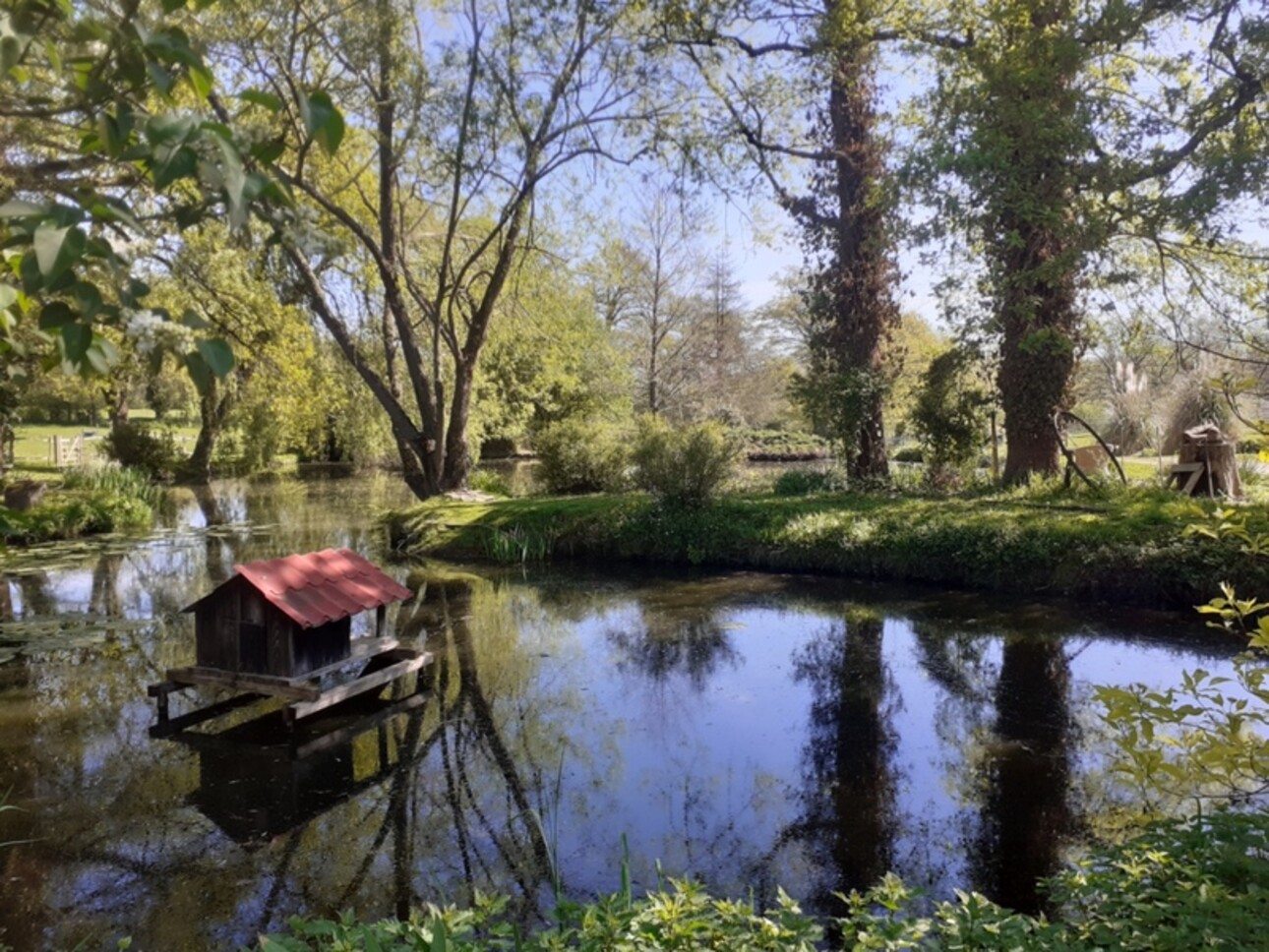 Photos 4 - Equestrian - Dpt Creuse for sale equestrian estate in Bussière Dunoise comprising a house, a gîte, an apartment,