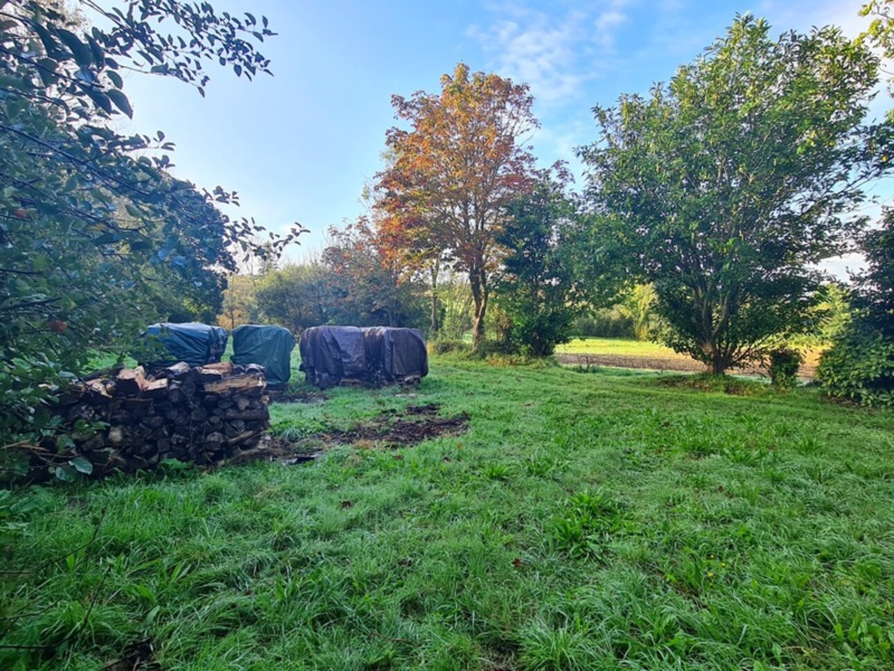 Photos 10 - Touristique - Dpt Finistère (29), à vendre TELGRUC SUR MER