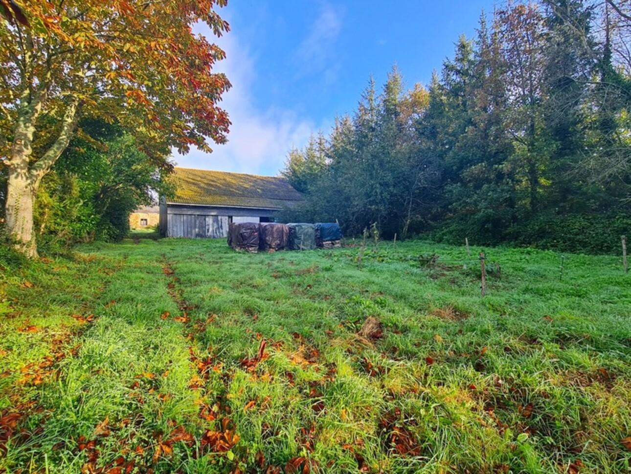 Photos 2 - Touristique - Dpt Finistère (29), à vendre TELGRUC SUR MER