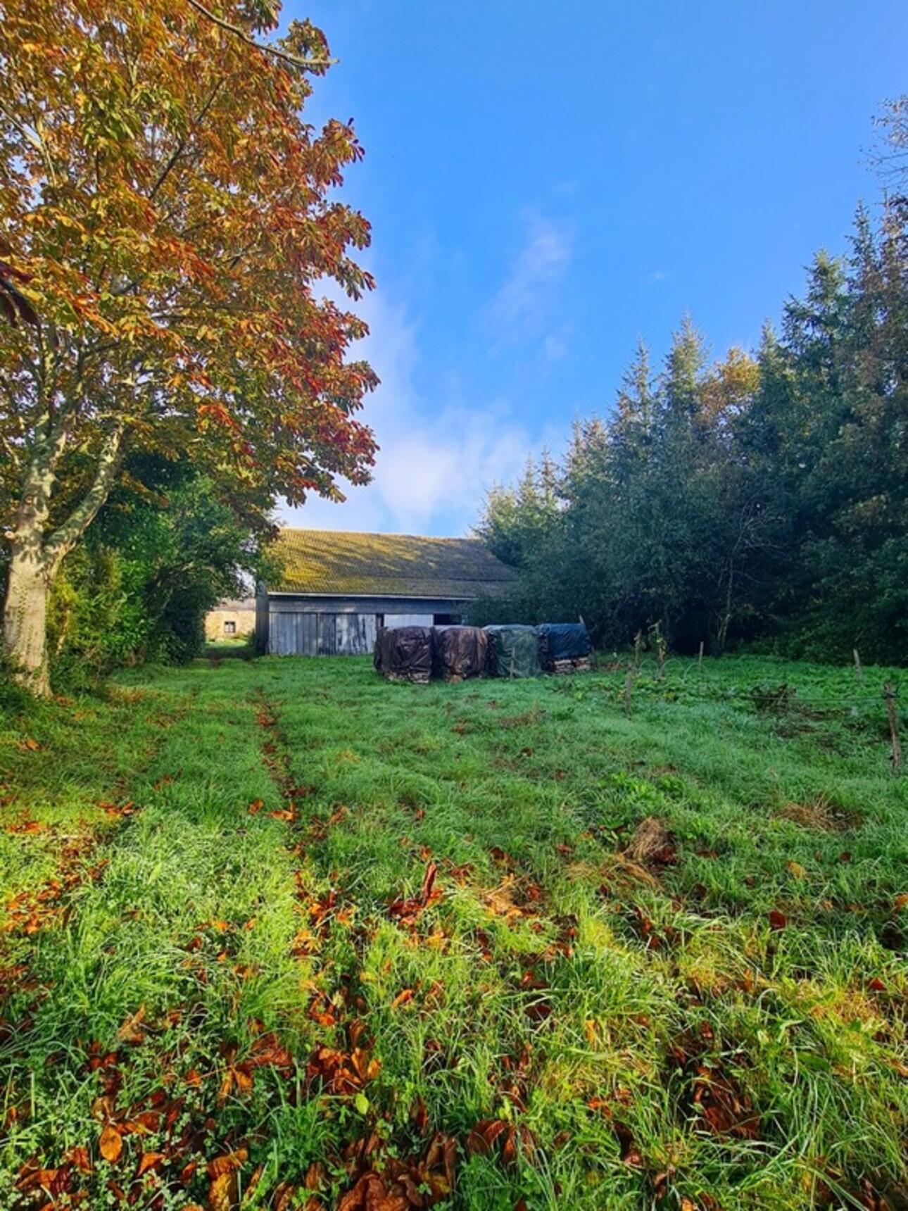 Photos 6 - Touristique - Dpt Finistère (29), à vendre TELGRUC SUR MER